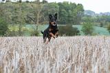 BEAUCERON 574